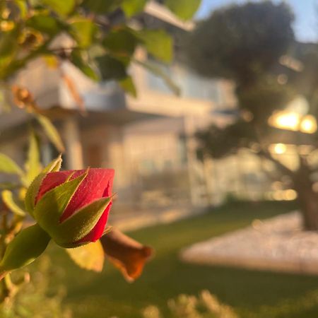 Altos De Finestrat Villa Ngoại thất bức ảnh