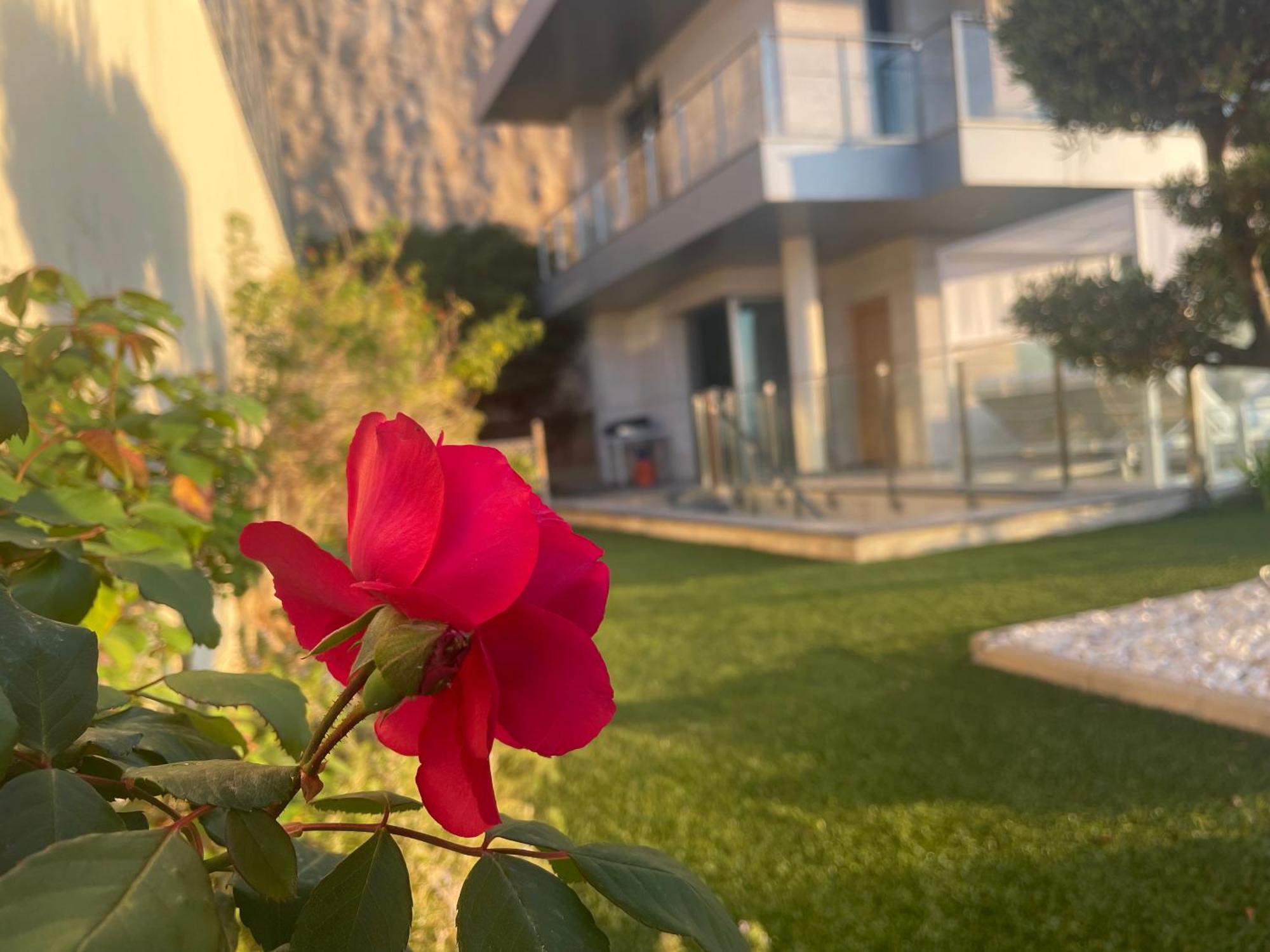 Altos De Finestrat Villa Ngoại thất bức ảnh